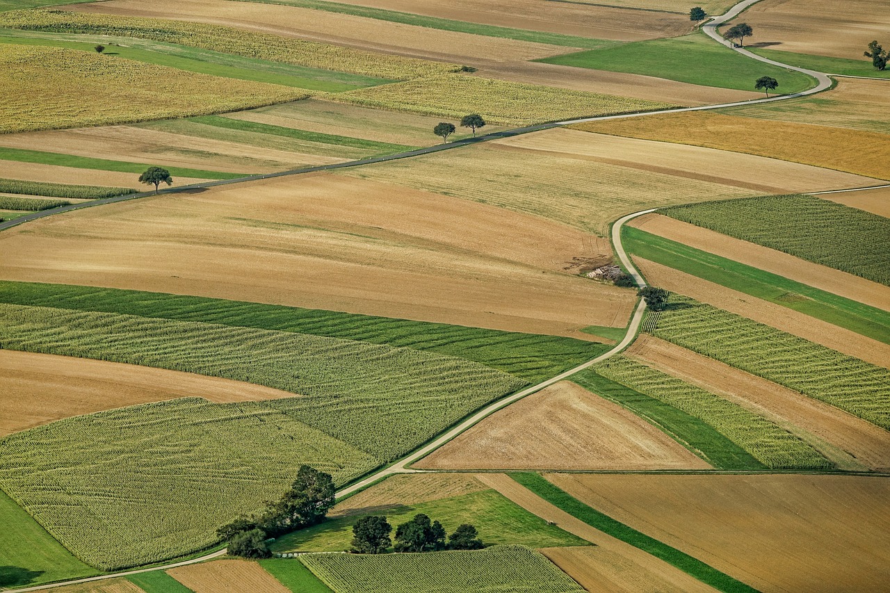 Role of AI in Precision Agriculture Techniques